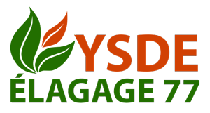 elagage-ysde-elagage